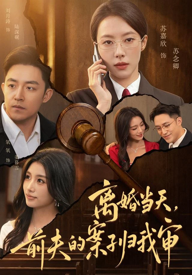 《离婚当天，前夫的案子归我审》官方海报